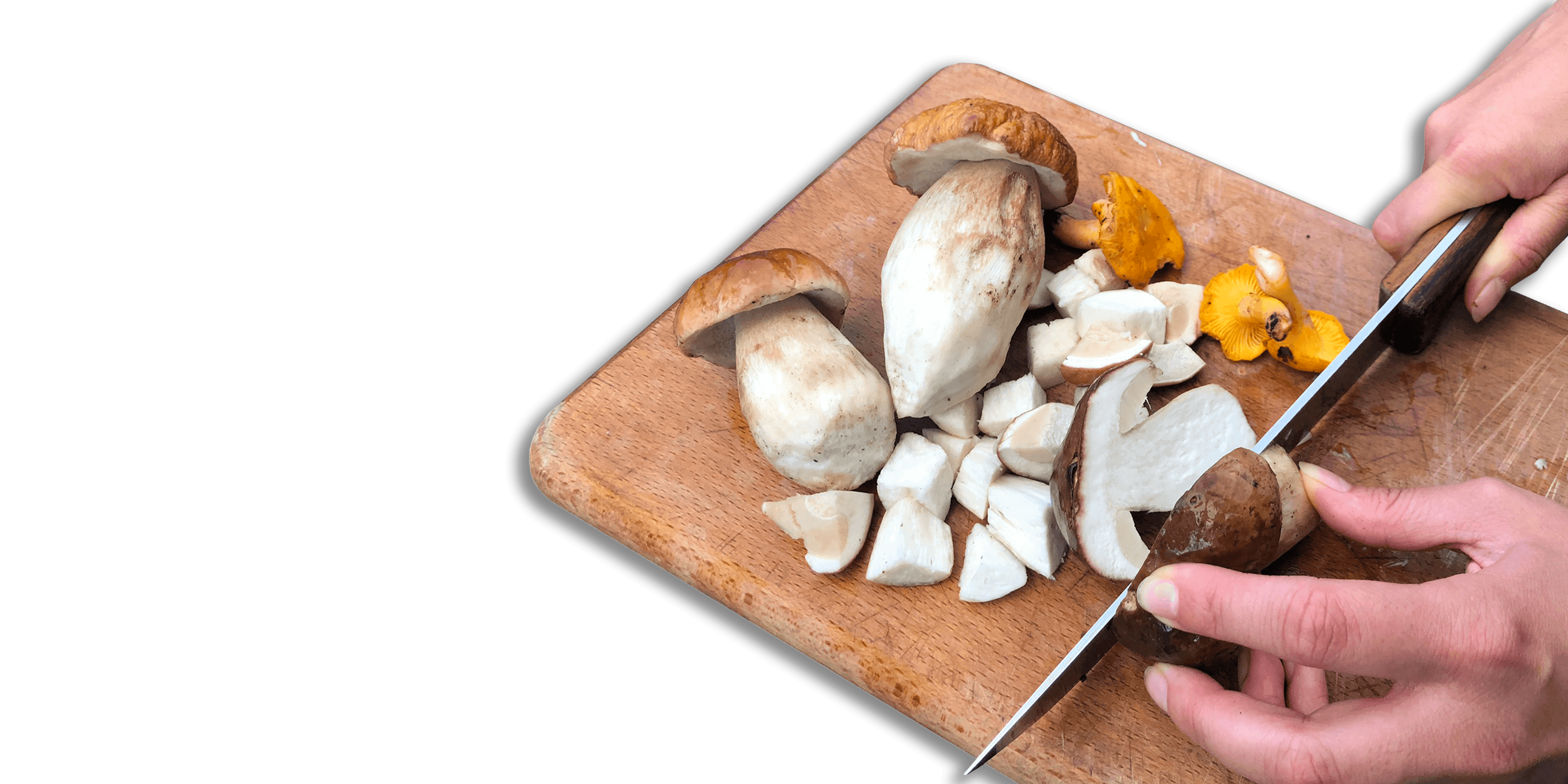 Mushroom processing, cutting and cleaning